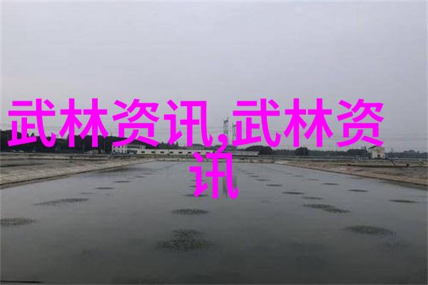 中国功夫-探索中国武术揭秘其拳法精髓