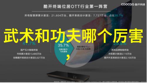 武学秘典探索中华内功之精髓