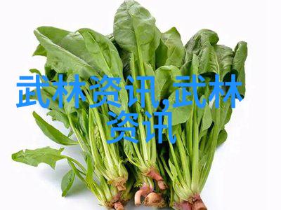 现存的门派中又有哪一门能与陈家小架太极拳相提并论