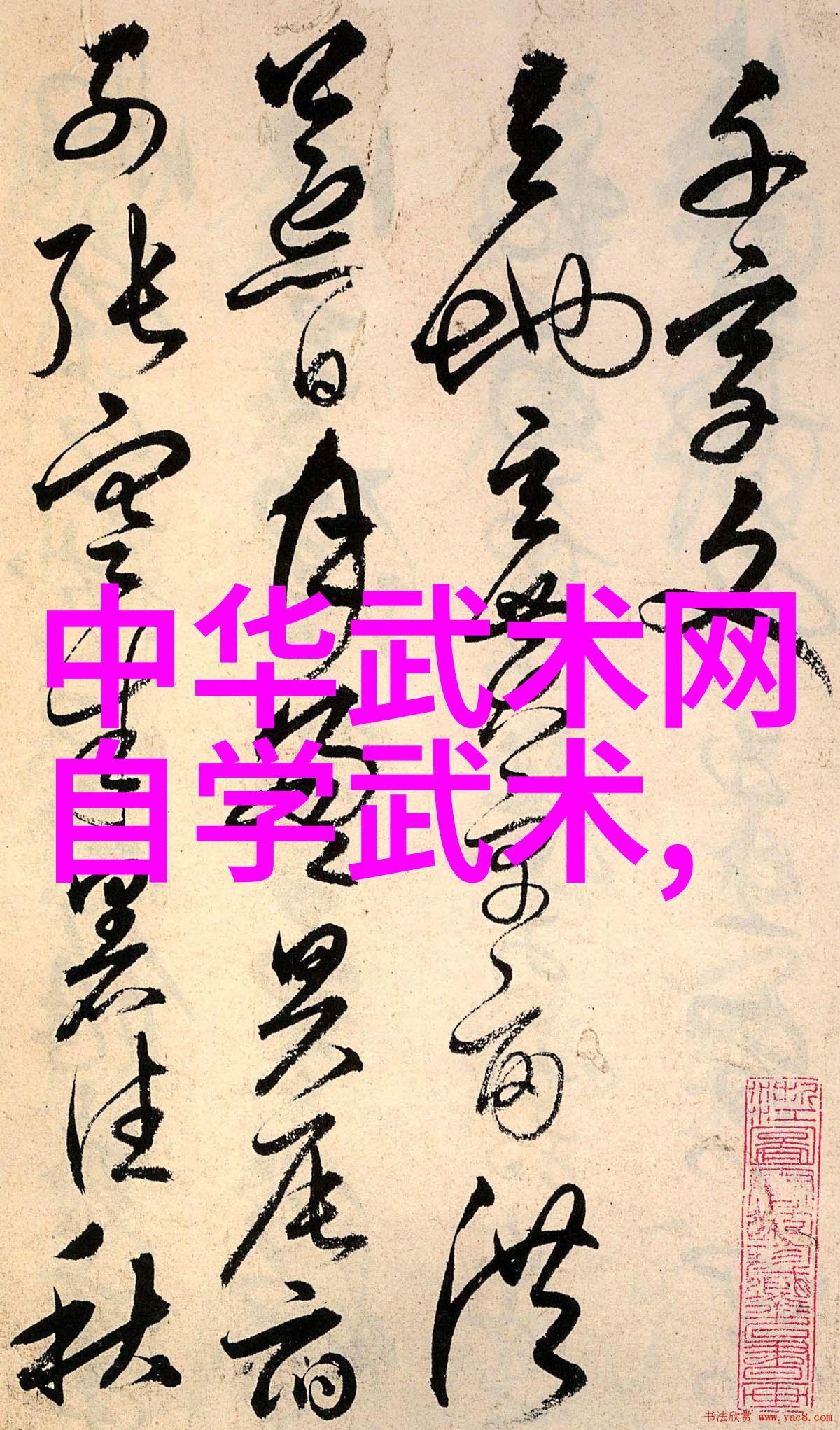 霸气军团的崛起星际战旗上的新霸主