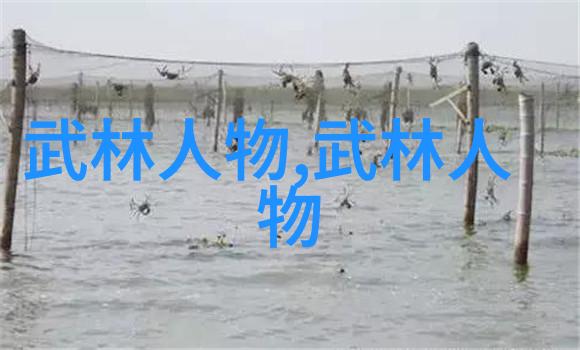折叠与展开二十四式简化太极拳图解对偶