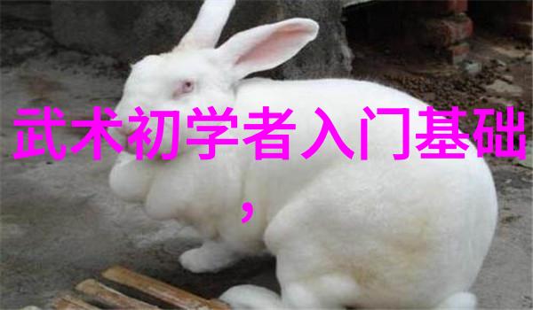 全国129个武术门派大全中国传统文化的瑰宝