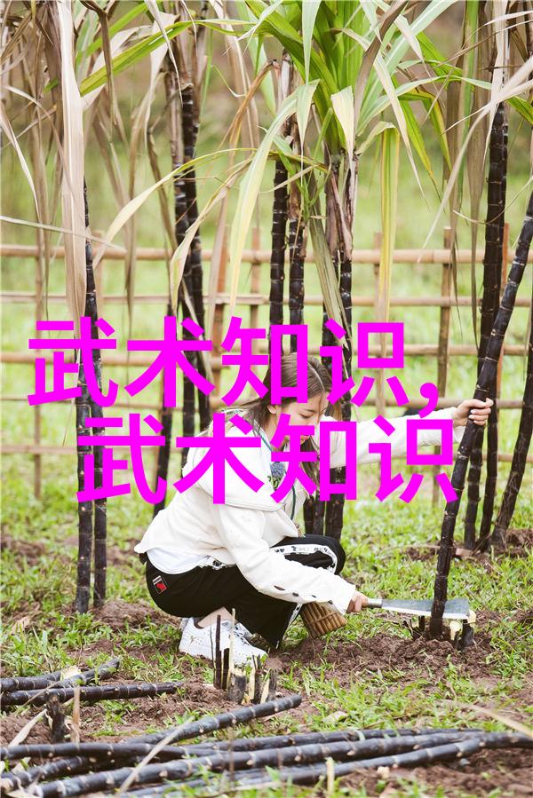 熟悉背阔肌的锻炼方法一边拉伸一边提升力量