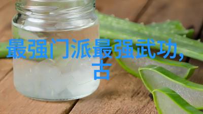 武功秘籍网沉默的指南针与星辰之旅
