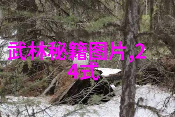 赵堡太极李宗有三合一拳练法初解融入24式太极拳口诀表于社会实践中
