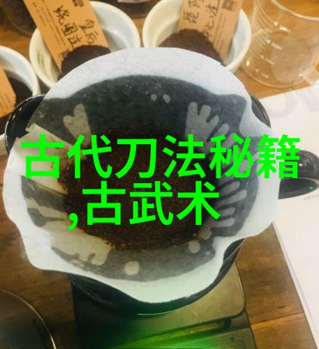 探索奇幻世界我在梦想诗章公会中发现了魔法的旋律
