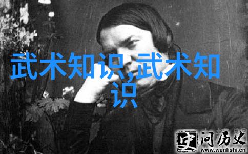 武林秘籍招式大全带图-解锁武林神功武林秘籍招式大全带图详解