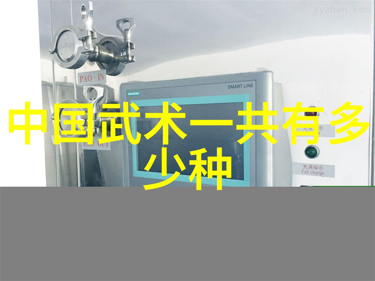 自己在家练武术的教程我是武林新人你看我怎么做