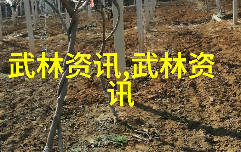 太极拳前脚转动应实脚或虚脚考古武功秘籍口诀解读