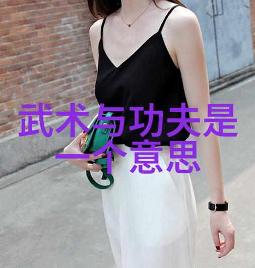 探索中国最著名武术流派揭秘功夫艺术的巅峰之作
