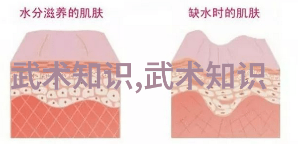 武当山脉传承之谜十五代后继者的序列