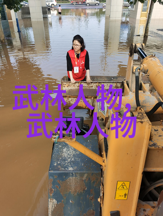 太极拳的简易之道解读24式中的内在奥秘