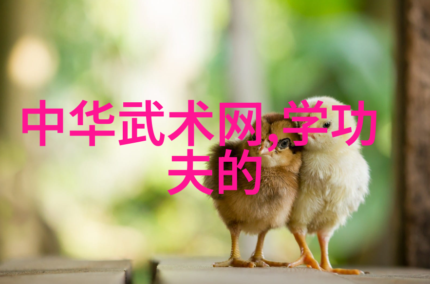 武林中的门派有哪些反复探究杨氏太极拳的韵味与魅力