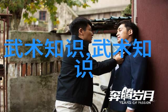 武林绝学图解揭秘古老招式之传承与演变