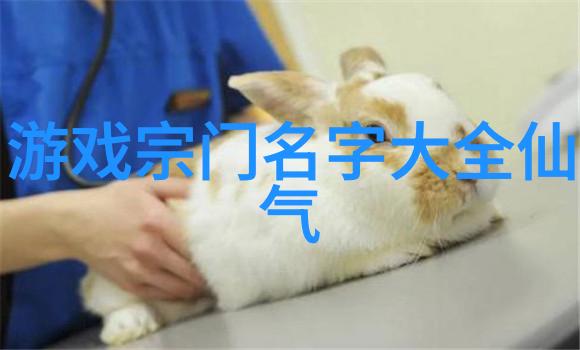 武侠世界 - 金庸笔下绝世神功排名揭秘武林中最强法宝