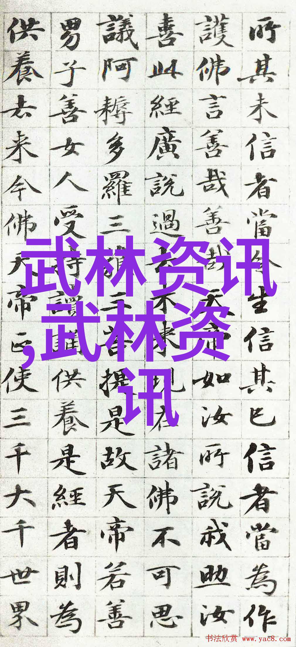 女生帮派的神秘名字揭秘校园地下世界