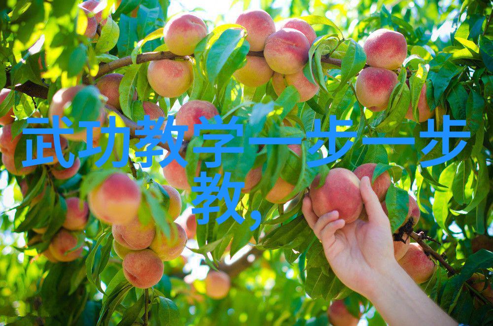 看镜子我怎么哭你的每天照镜子都想问为什么你不在这里笑着对我说再见