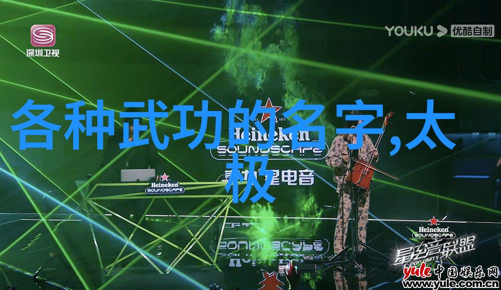 少林武术精粹金针拍案腿少林拳法中的绝技