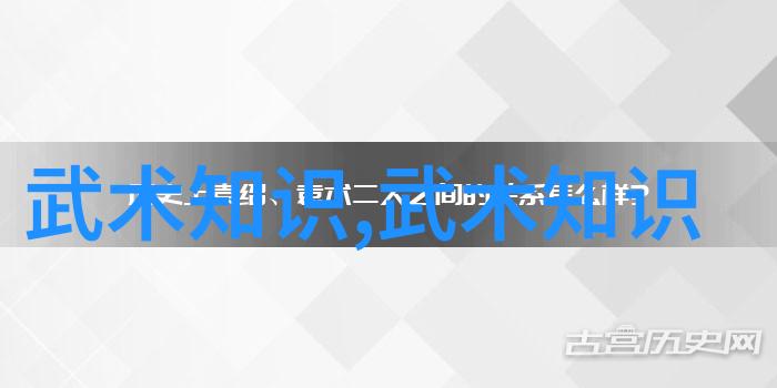 全球寻访中华拳法揭秘中国各省市的非凡武学体系
