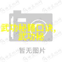 巴西柔术飞舞哑铃双重力量单手挥舞