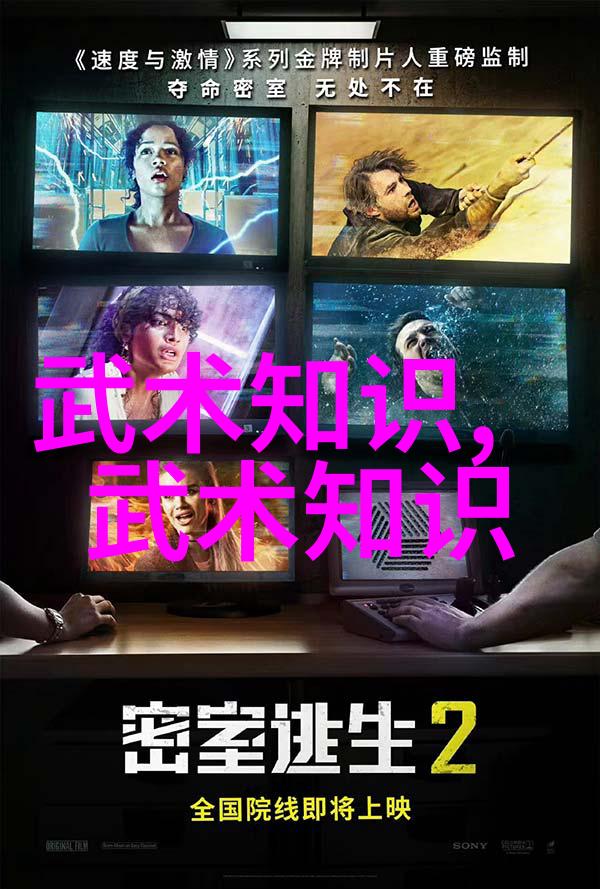太极24式之谜背面秘图与正面力量的对决