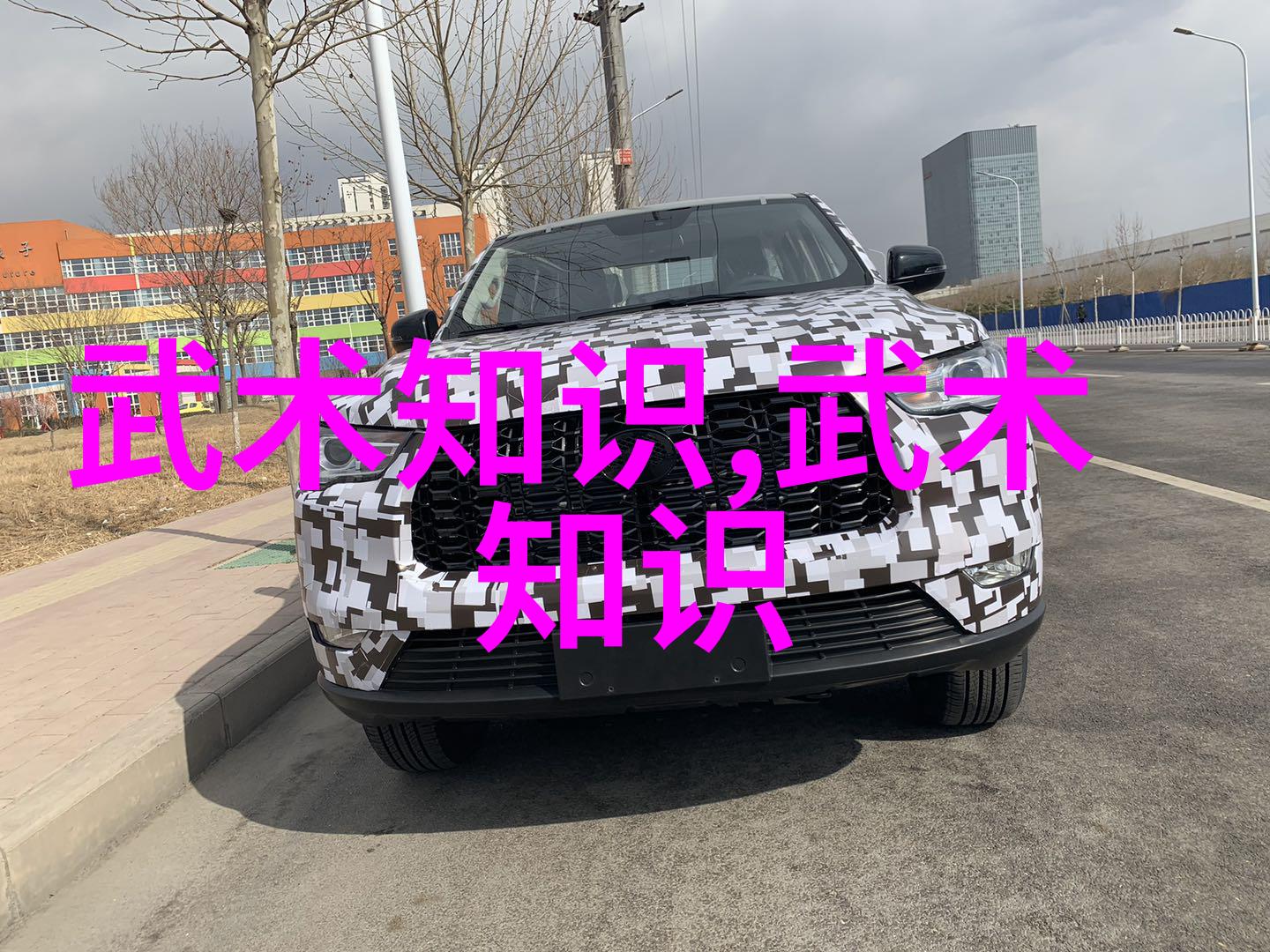 从李小龙到刘扬跨越时空的影响力让我们看看这些经典电影电视剧中的哪些高明技巧是真的
