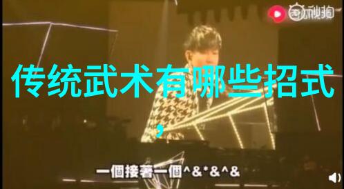 中华武学典籍汇编探索中国武功秘籍的文化与实践