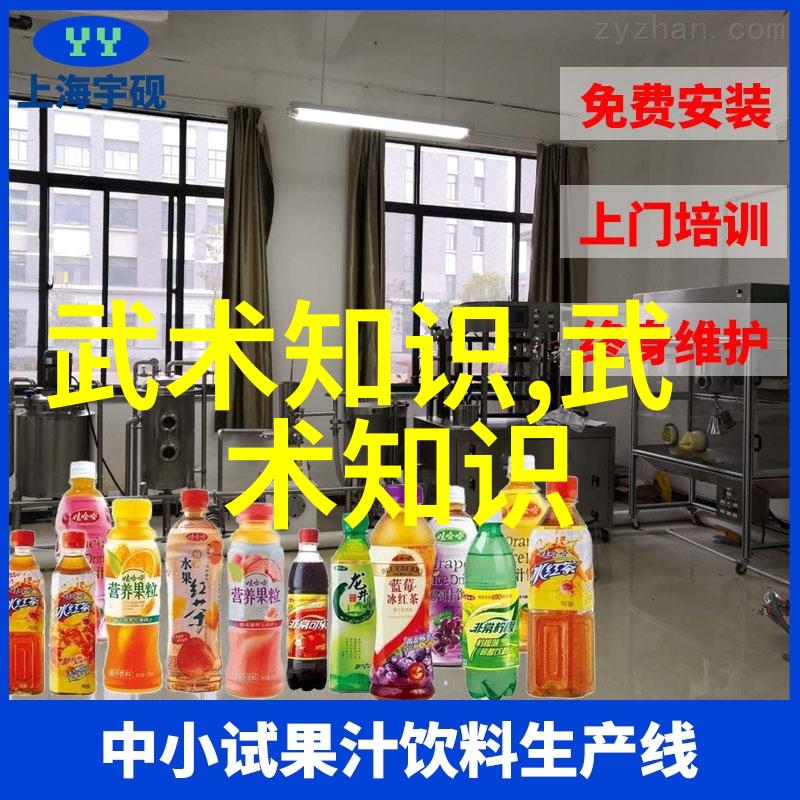 武林秘笈拳脚法术之争