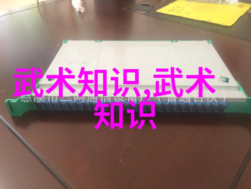 武林秘籍-刀光谱系探索用刀门派的古老智慧