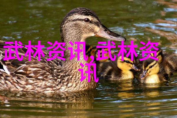 孤独的守护者寂寞女护士的故事
