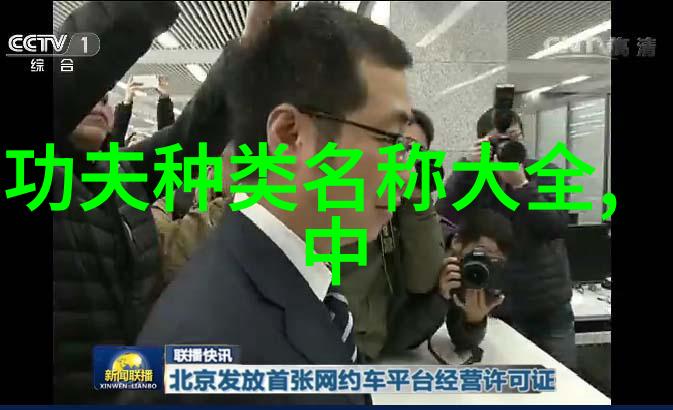 武林秘籍绝技之旅