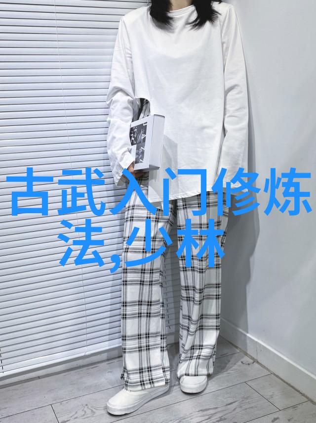 武术追求的是技术或是实战能力如何看待这两者的关系