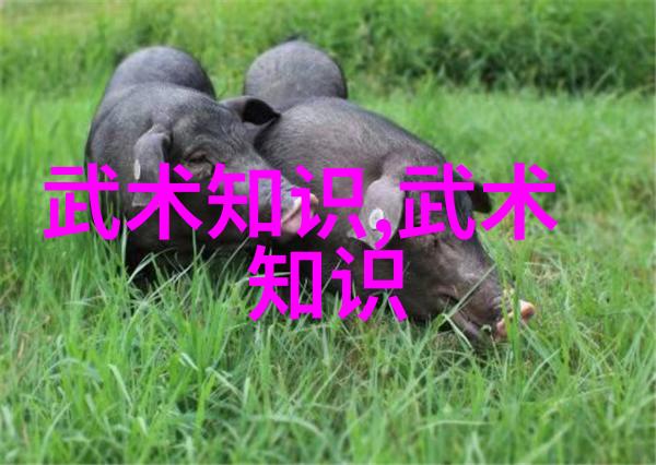 回响历史选择一家好听的古风家族名字
