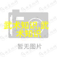 神兵利器随身携带考察各种武器与其对应的武学体系