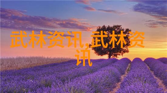 中国体系最庞大的武术门派 - 揭秘太极中国传统文化的巅峰之作