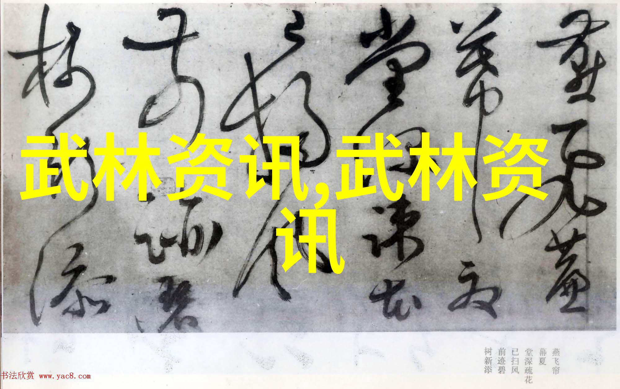 揭秘那些曾经流行但现在已被遗忘的好听势力名号及其原因