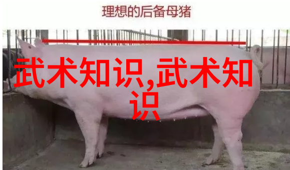 古韵悠长一店一味一意寻常