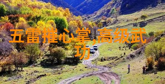 翠峦幢门诗意炮拳在林间响起