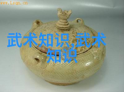 太极拳之功夫大全招式拳法定位对偶