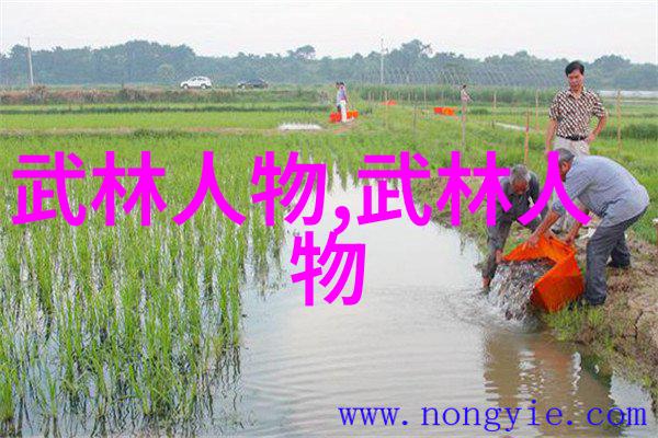 你想知道如何解决自由泳技术动作的问题吗