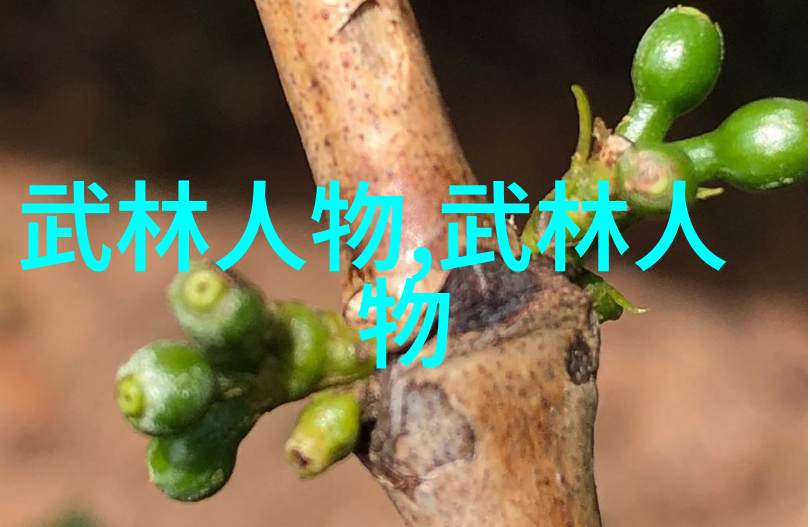 武林-探秘江湖门派揭开武林神秘世界的面纱