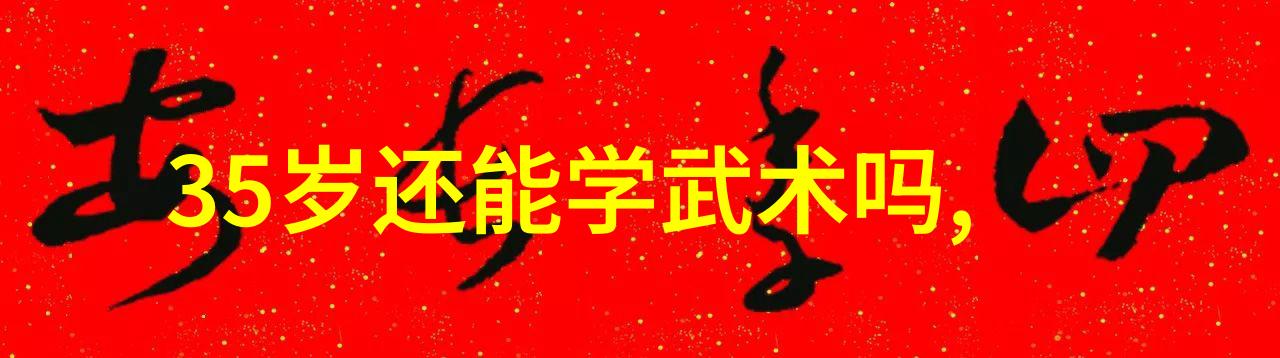 贵州武林门派探秘疯狂的拳风在社会中的演绎
