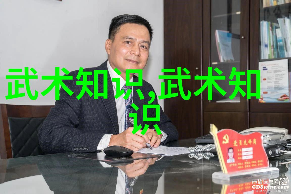 中国武术排行揭秘最强风范