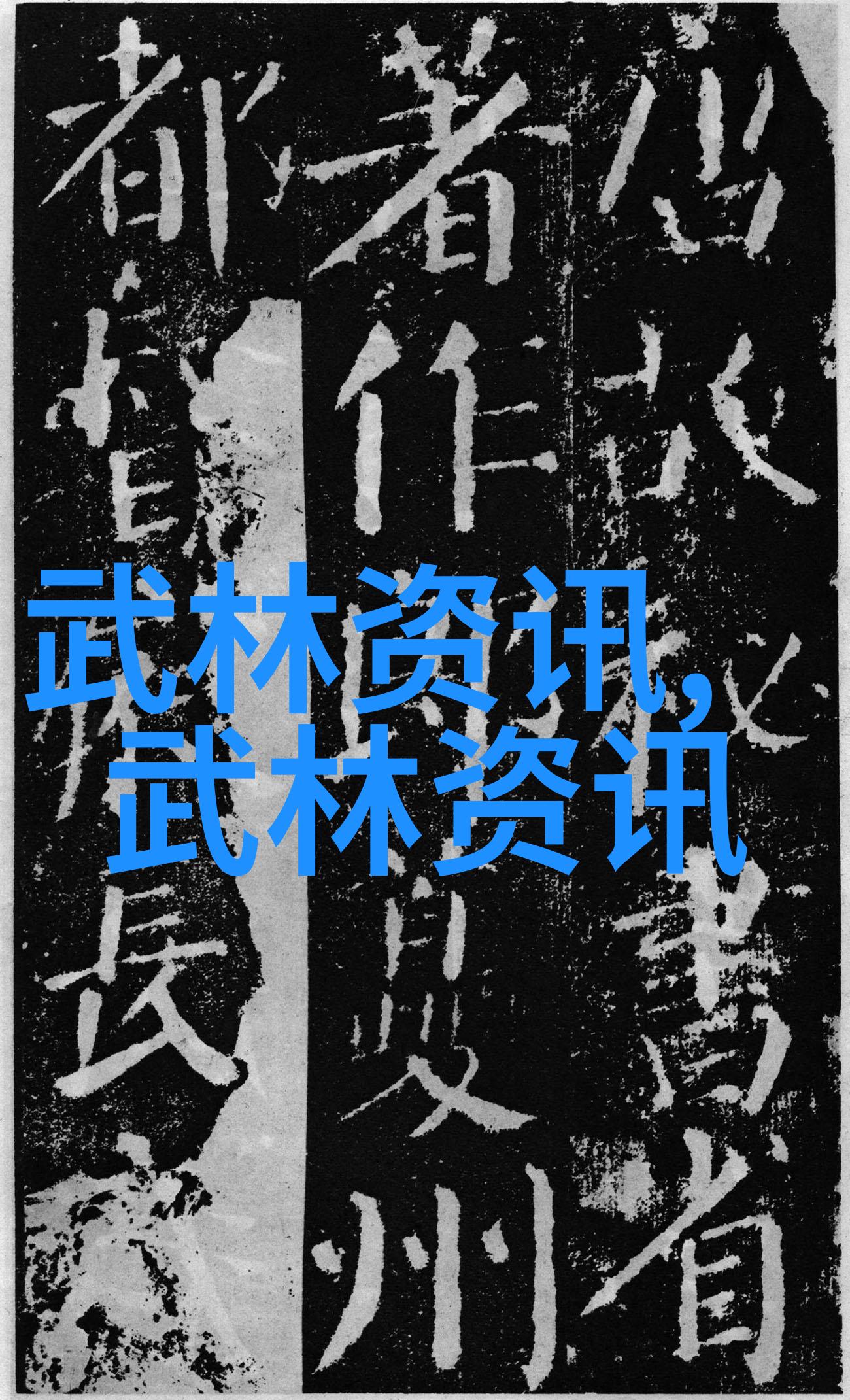 实战性最强的十大武术中华拳法太极剑法泰国武艺印度古拉特式格斗
