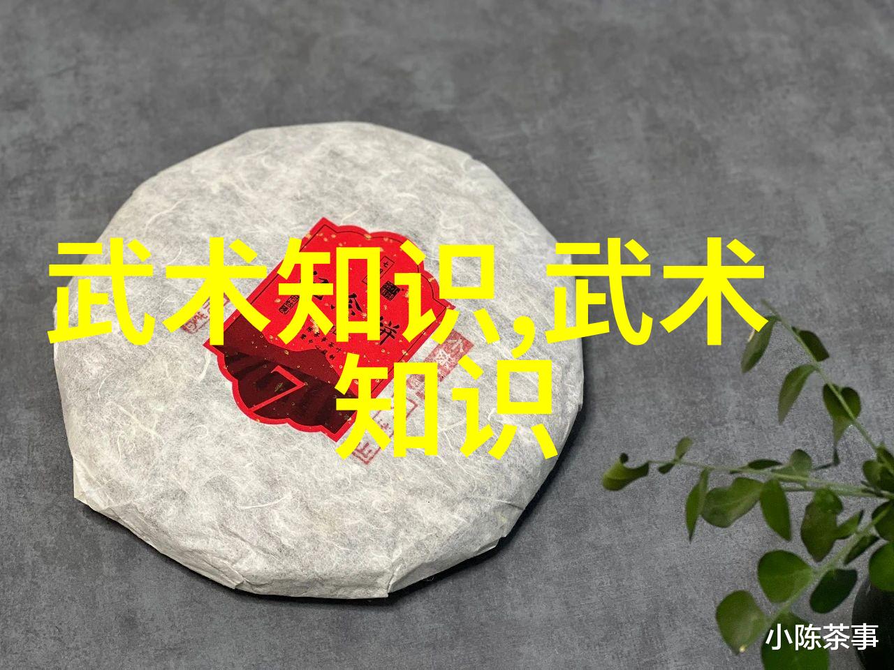 超凡剑法拳术与招式它们分别代表了什么含义