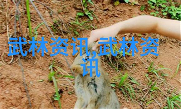 揭秘形意拳的弱点最易遭遇的对手与战术