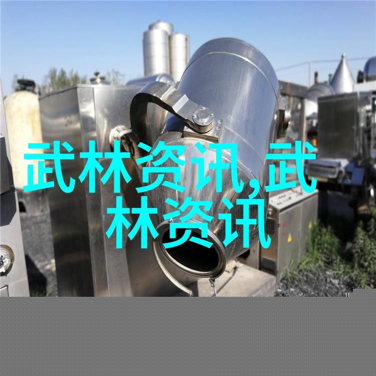 探秘安徽武林有哪些门派隐世千年