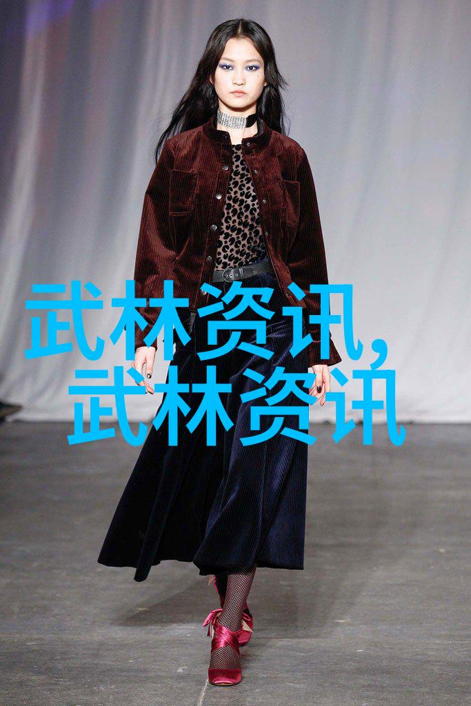 拳法十六招式图解的神秘之谜揭开每一招背后的奥秘