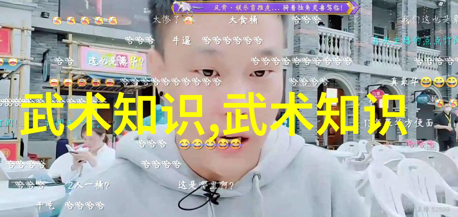 探秘中国武术十大门派挥洒经典寻踪源流