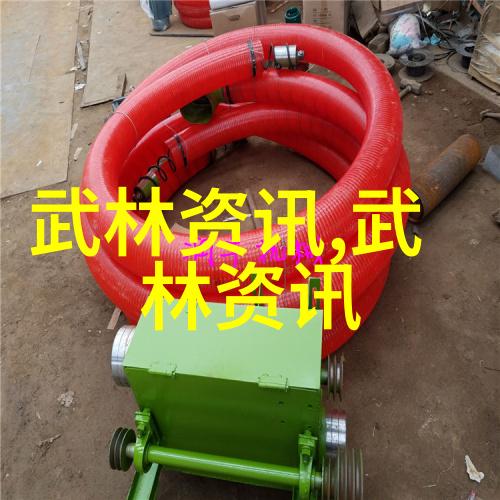 拳脚之争探索中国功夫中最具实战价值的技巧